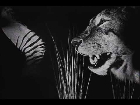 Blood of Abraham - Eyedollartree [REMASTERED] music video