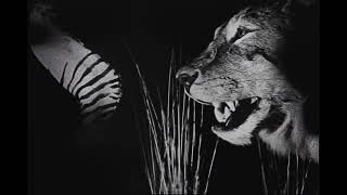Blood of Abraham - Eyedollartree [REMASTERED] music video