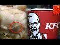 Тайны рецептов KFC: Черви в куриных крыльях! 