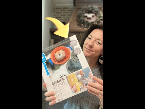 Review Taf Toys MusicalCar toy