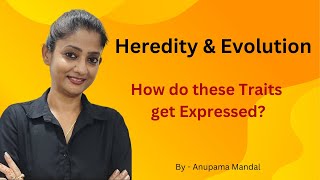 How do these Traits get Expressed?| Class10 Biology | Science Chapter 9 Heredity &  Evolution| NCERT