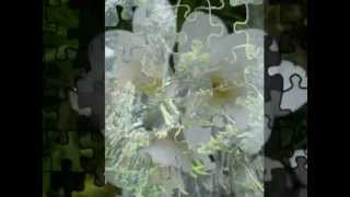 Anita Harris - Trains and boats and planes