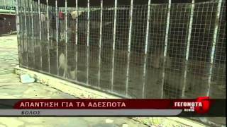 Απάντηση για τα αδέσποτα