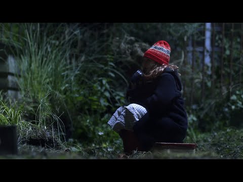 Doctor Who - Series 5 Soundtrack Medley