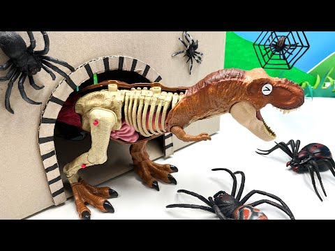 Tyrannosaurus Dangerous In Cave | Dinosaur Anatomy Play-set Fun Video