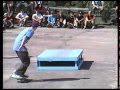 Ed Templeton Mike Vallely New Deal Demo WI 90 S