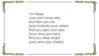 Lambchop - The Scary Caroler Lyrics