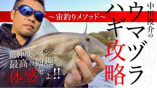 【船釣り】中川俊介のウマヅラハギ攻略〜宙釣りメソッド〜