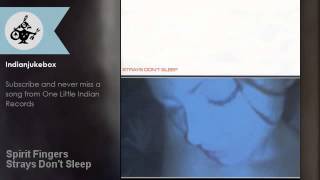 Strays Don&#39;t Sleep - Spirit Fingers