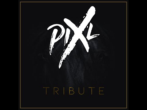 Pix'L - Tribute