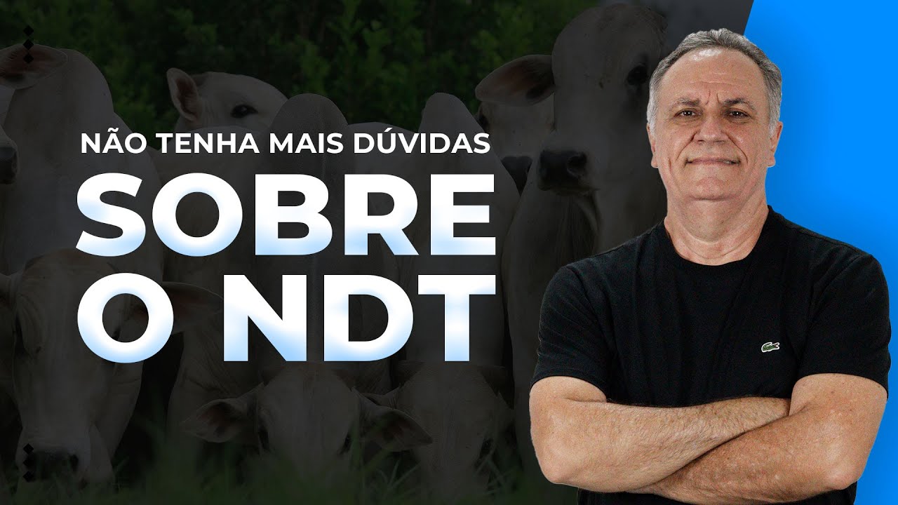 Depois desse vídeo você não terá dúvidas sobre o NDT