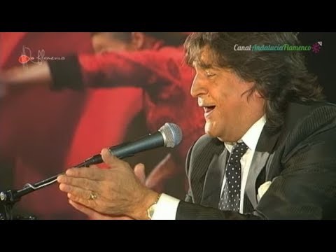 Bulerías. Vicente Soto. 2016