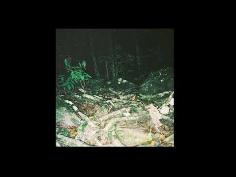 Paul Walter - Wayward