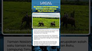Taman Nasional Way Kambas di Lampung Sekolah Gajah Pertama di Indonesia dan Pusat Konservasi Gajah