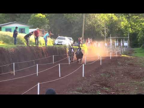 DATA : 01 / 10 / 2023 J.C.BEIRA RIO . Desafio de Amigos . RAIO X SOL DE MAIO