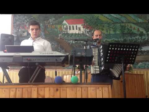 Beniamin Andrei si Ionel Ciui - Azi e vremea de trezire/Se scutura crini-n gradina