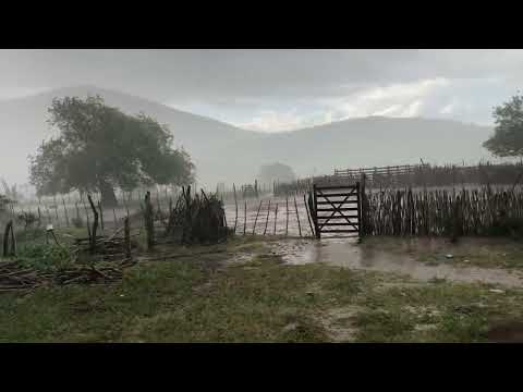 Chuva no sertão da Bahia, município de tucano!