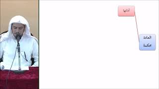 صورة القواعد الفقهية (مقسم) 49 - التأهيل الفقهي - عامر بهجت (أدلة قاعدة العادة محكمة)