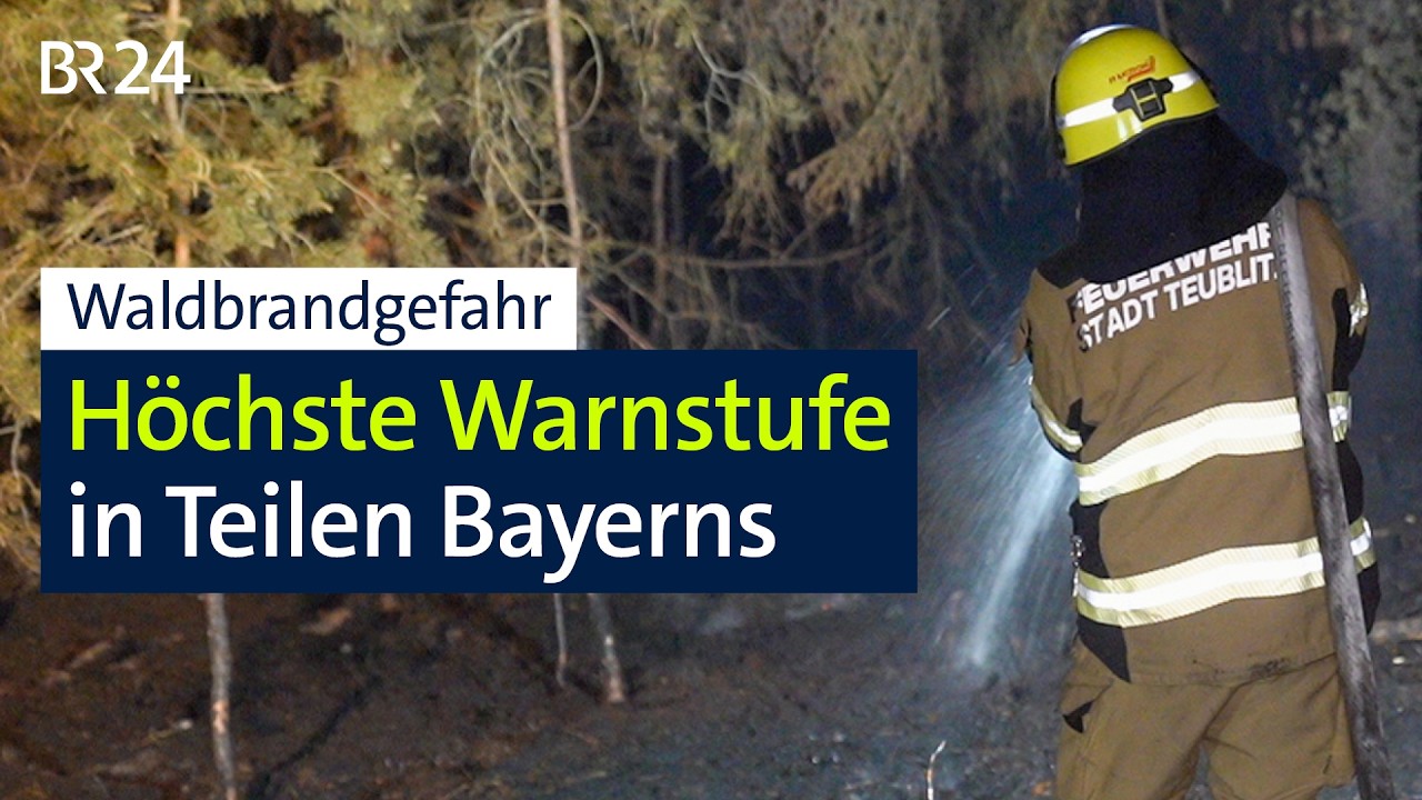 Waldbrandgefahr: Höchste Warnstufe in Teilen Bayerns | BR24