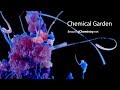 Beautiful Chemistry: Chemical Garden (New Music)