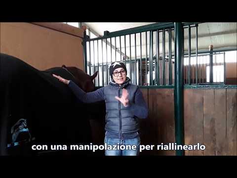 Preparazione delle articolazioni e legamenti in farmacia Lombalgia solo in Russia