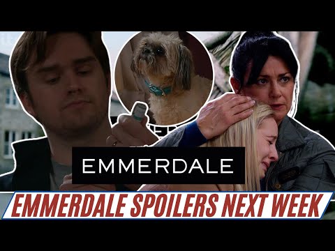 Emmerdale's Belle King Returns! Tom's kill Dog Plot Takes a DARK Turn| Emmerdale spoilers next week