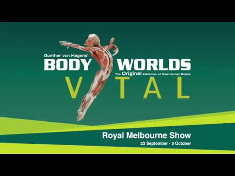 Body Worlds Vital