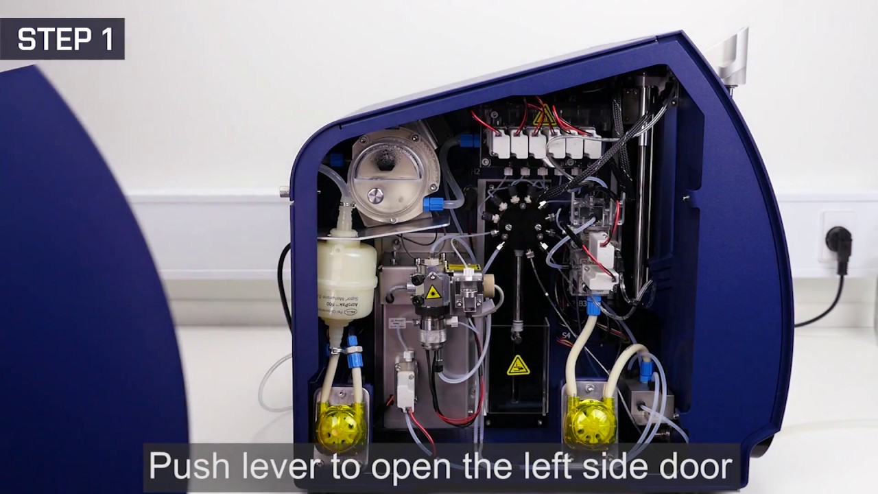 Monthly Maintenance - BacSomatic™