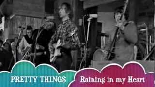 PRETTY THINGS  Raining in my Heart BEAT CLUB 1966