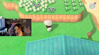 decorating my lovely island 🏝️🫶🏻