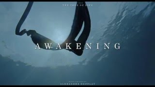 "The Tree of Life Soundtrack - Awakening