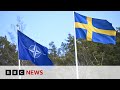 Sweden and Finland join Nato military exercises | BBC News