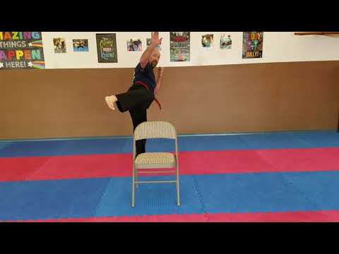 Karate for Kids 10-Second Challenges: The Hook Kick