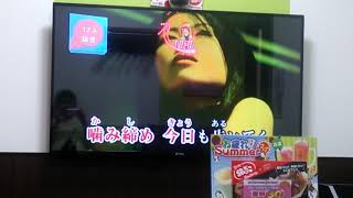 「ヒトリシズカ」歌ってみた