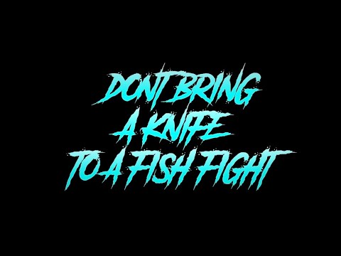 Play Video Youtube Video