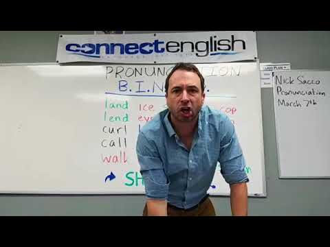 Connect English Pronunciation BINGO, Volume 4 - La Jolla Campus