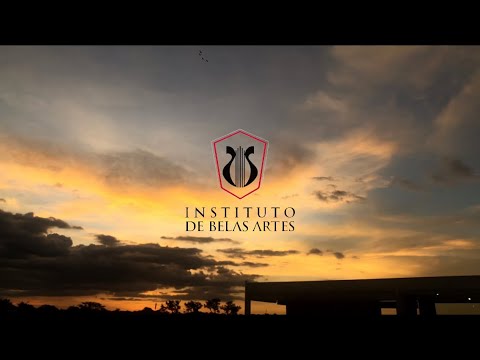 Welcome to the Fine Arts Institute (Brasilia, Brazil)