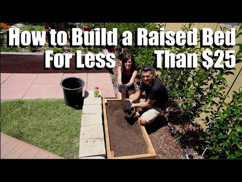 How to Build an Easy, Inexpensive Raised Bed for Less Than $25