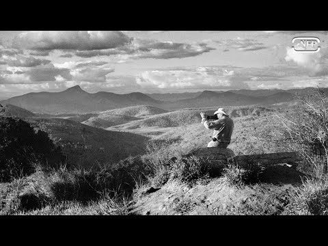 Video-Thumbnail von YouTube