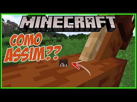 ESSE É O VÍDEO MAIS ENGRAÇADO QUE VOCÊ VAI VER HOJE!