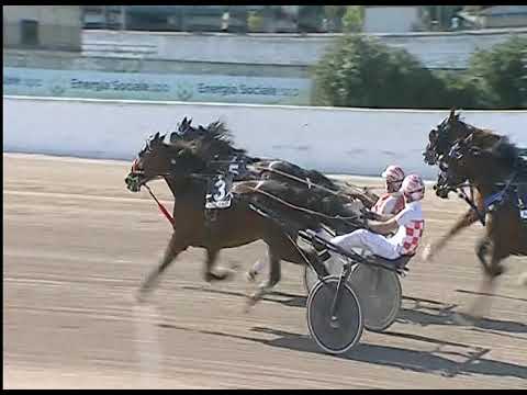 Trotto 11/06/2020 - 7ª corsa