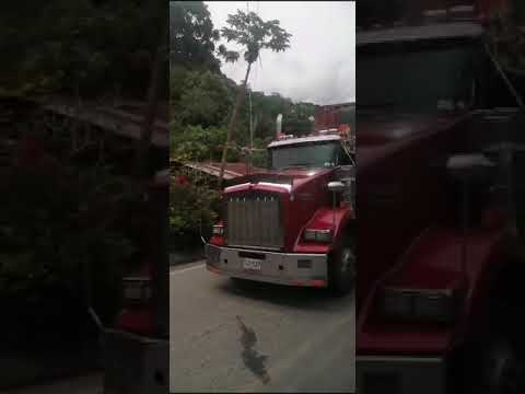 Una Kenworth vinotinto en Valdivia Antioquia