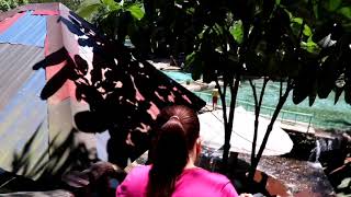 preview picture of video 'Mabanag Spring Resort, Mahayag, Zamboanga del Sur  /  Travel 01'