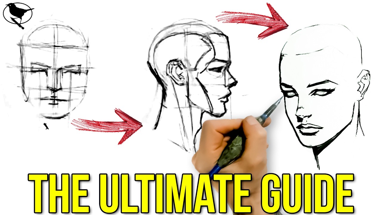 The Only Way to Draw Female Heads (Step-by-Step) (Part 1)