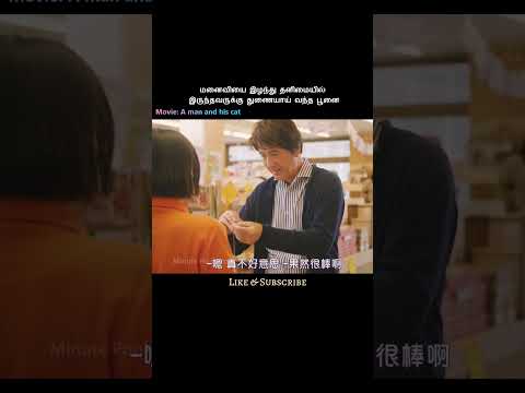 A lonely cat became a companion to a lonely man #shorts #short
