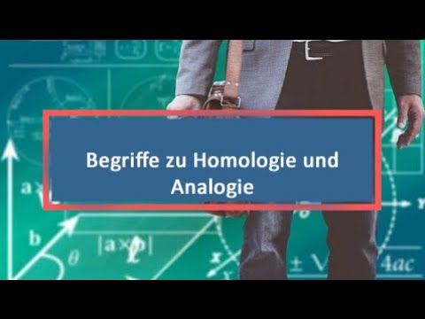 Begriffe zu Homologie und Analogie