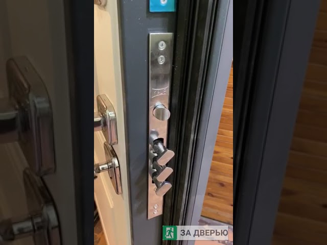 Видеоотзыв на дверь Гранит С9 (панель любая)