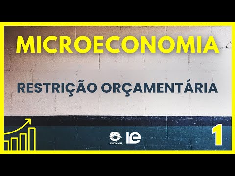 Microeconomics - Budget Constraint - Lesson 1
