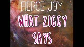 MATT SORUM'S FIERCE JOY - What Ziggy Says