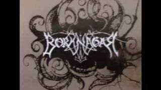 White - Borknagar